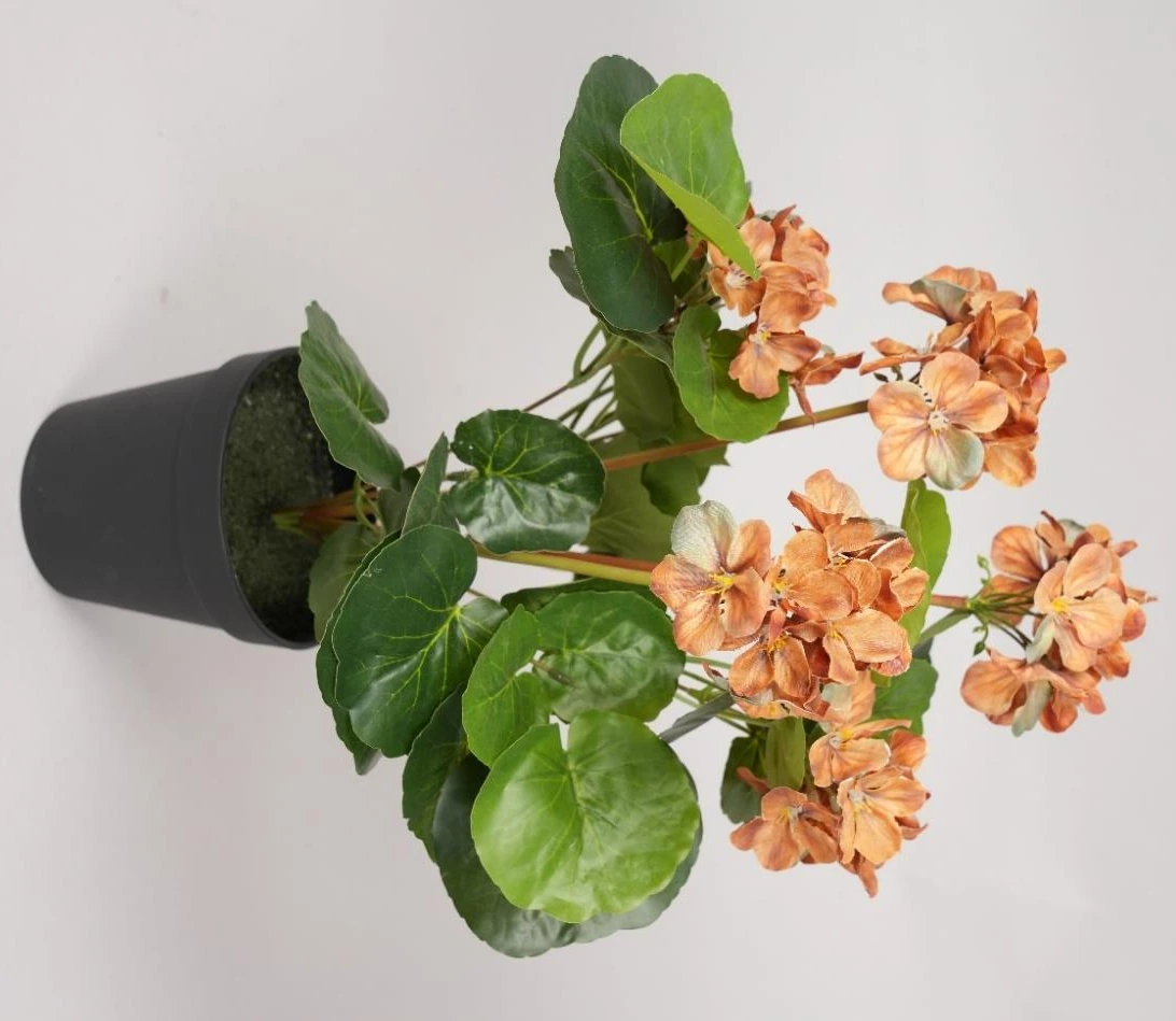 Potted Apple Flower Size : 42cm